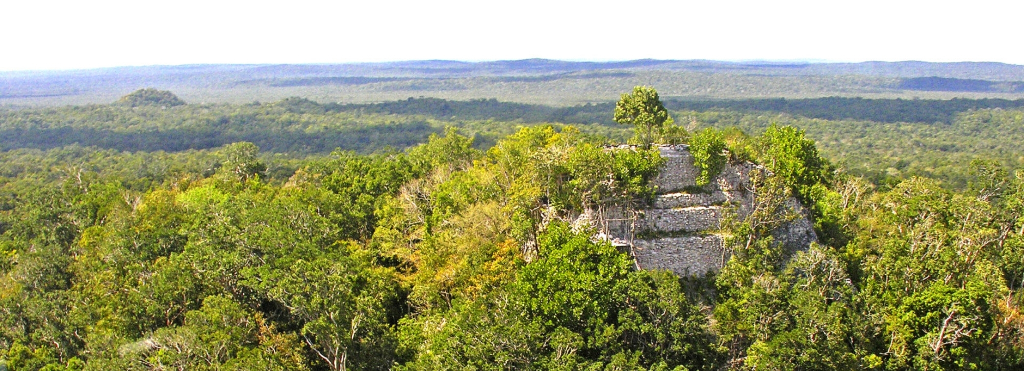 The Peten Lookout Guatemala